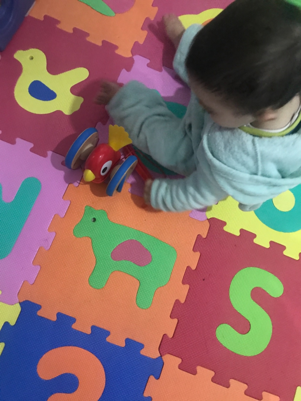 Hape E0360 Uccellino Spingi&Tira trainabile legno da 12 mesi