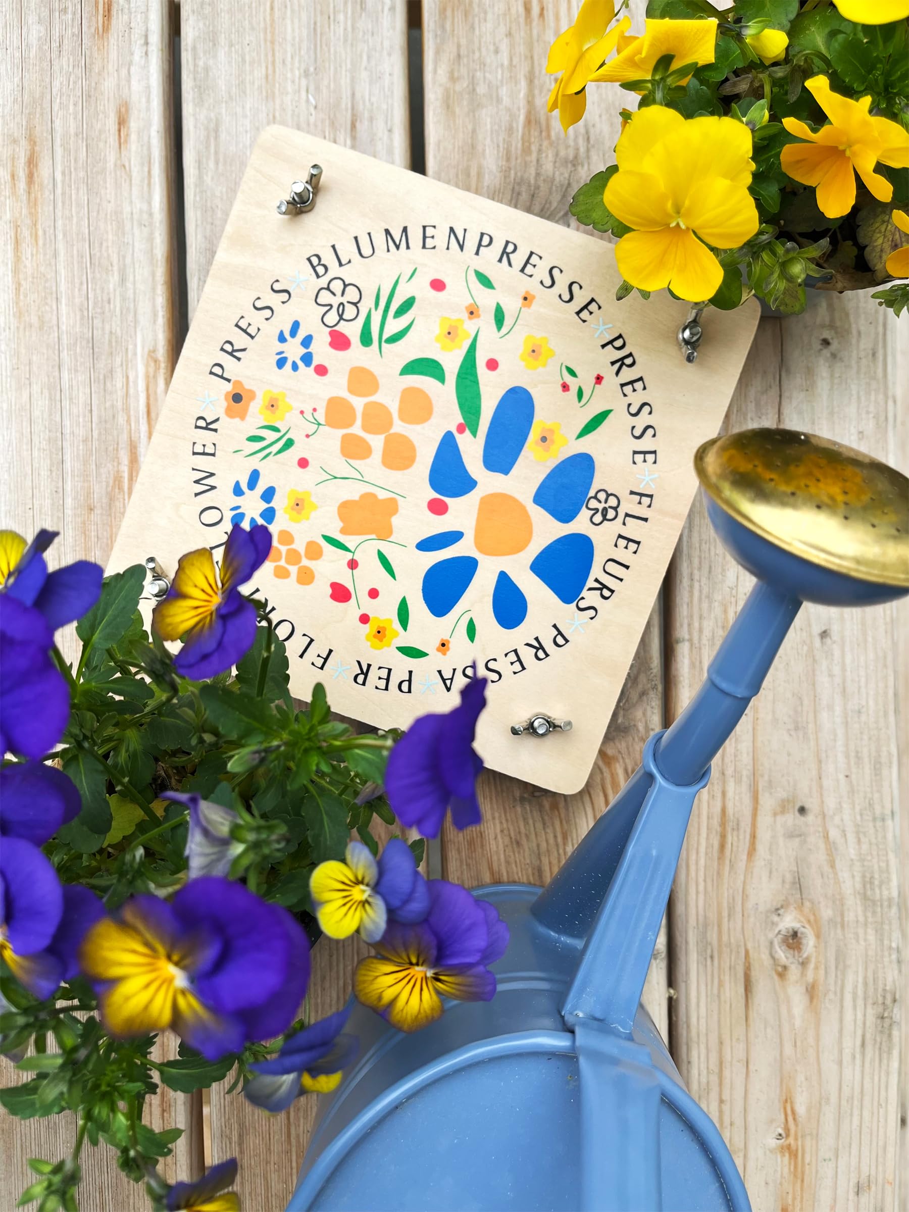 smallfoot pressa per fiori in legno con viti