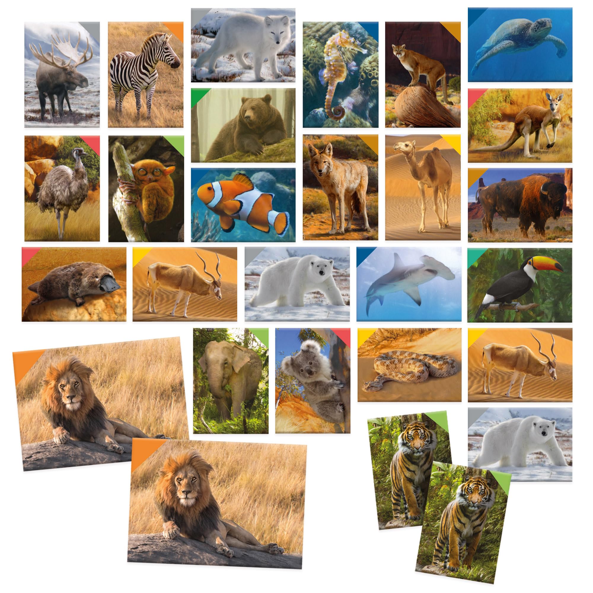 Headu Memorix 108 Memory Animali Carte 5-7 Anni