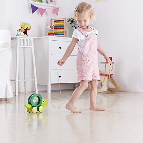 Hape Tito Tartaruga Gioco Trainabile in Legno dai 12 Mesi