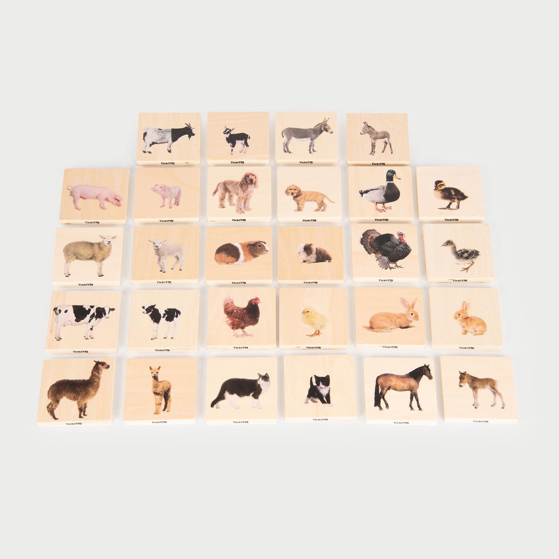 Tickit Domestic Animal Family Match memory legno 28 tessere animali