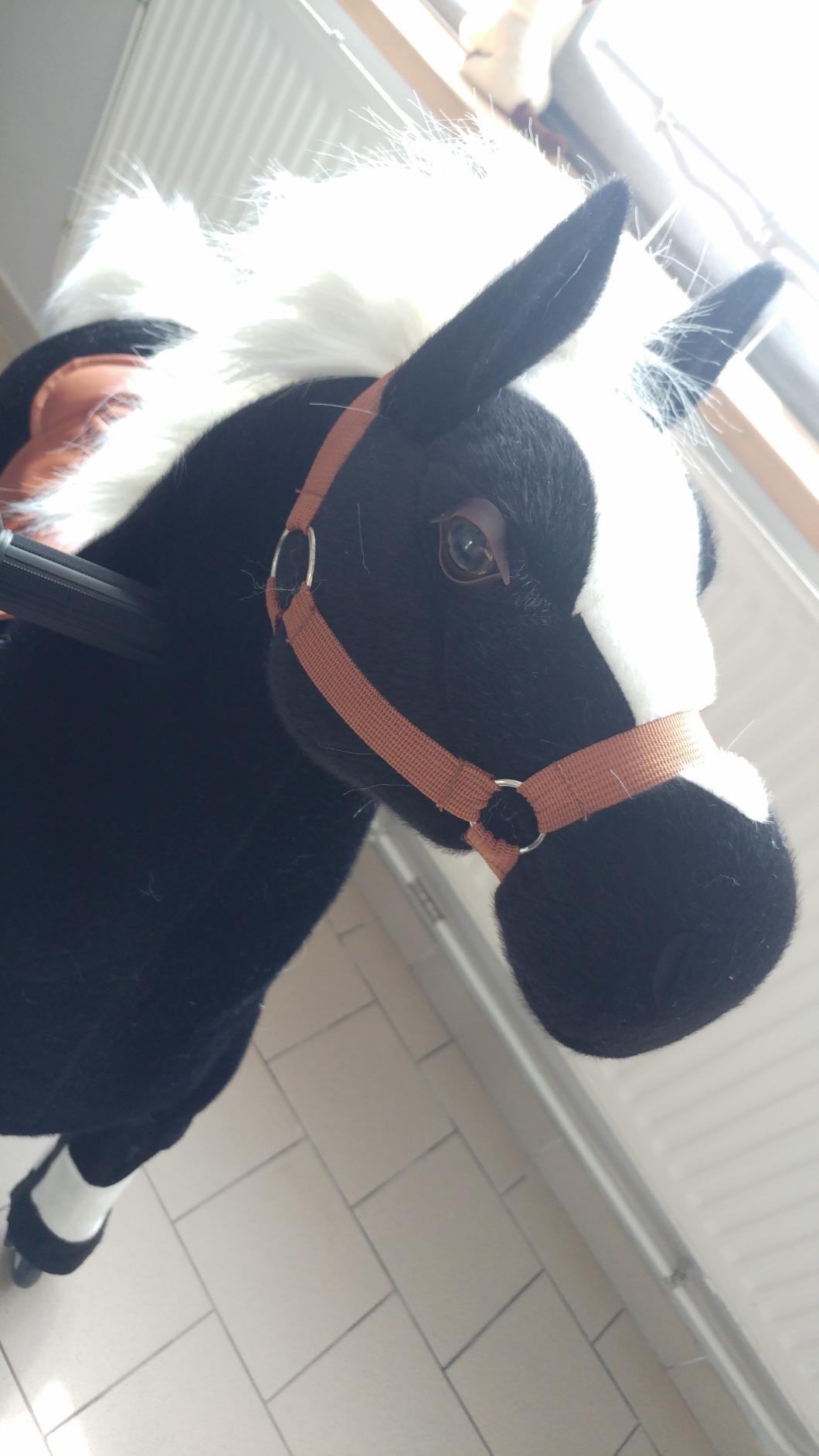 smallfoot 9906 Tuono cavallo cavalcabile con ruote