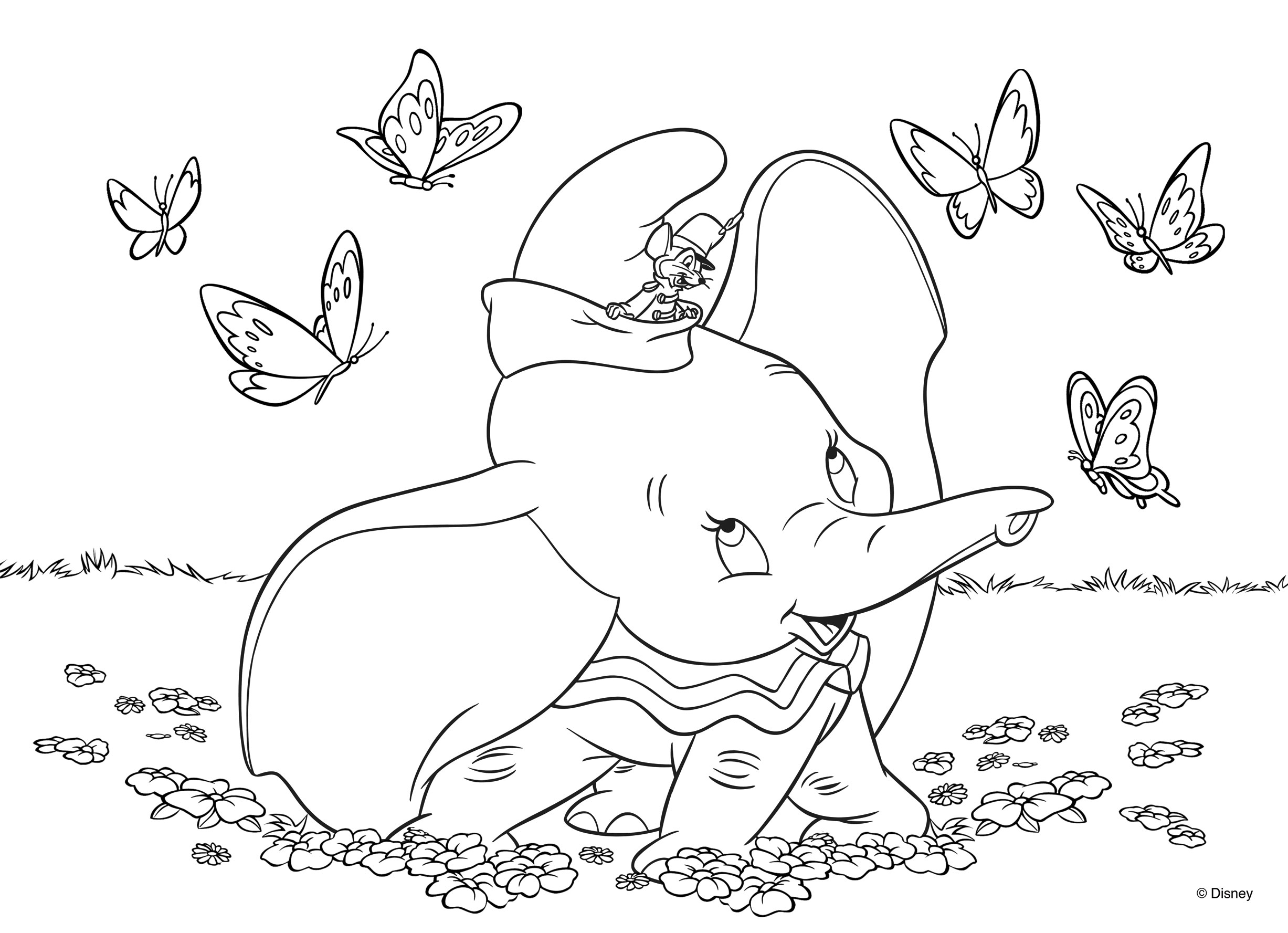 Lisciani Disney Dumbo Double Face puzzle 35 pezzi da colorare