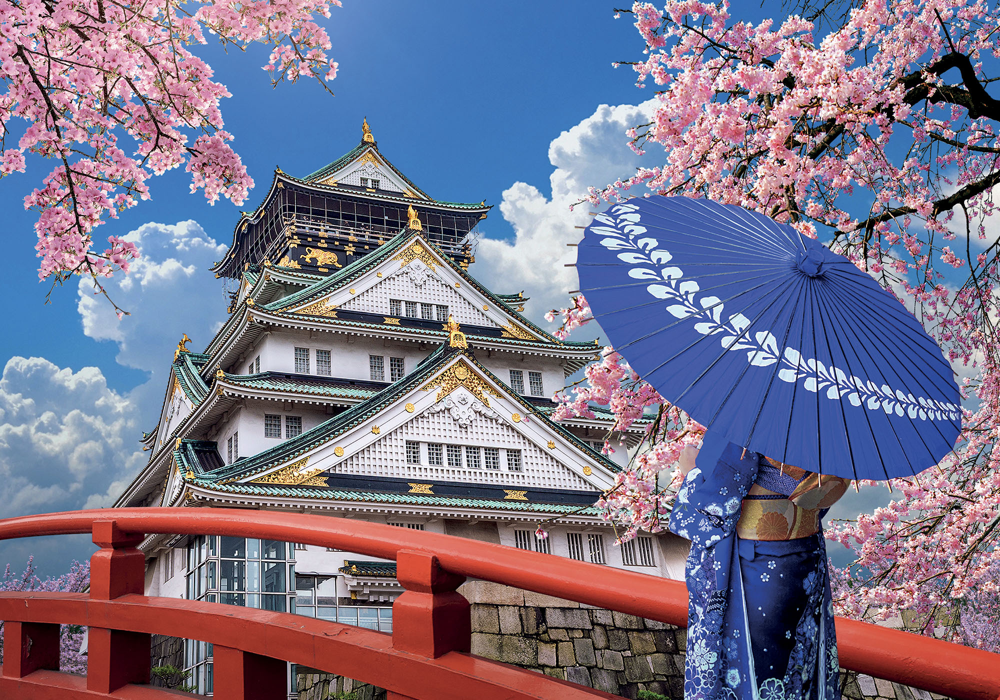 Lisciani Puzzle Poster Japan 500 puzzle adulti 500 pezzi