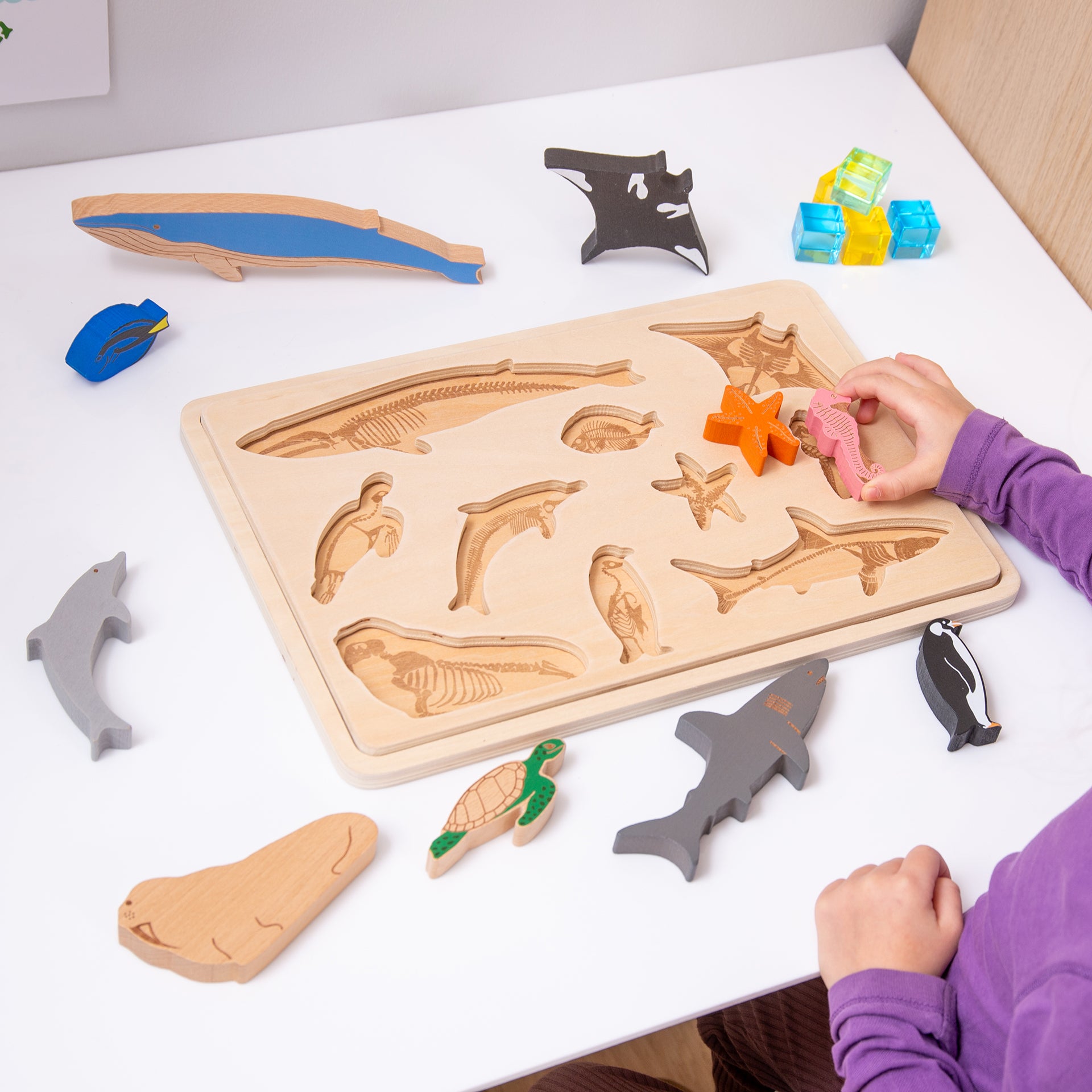 Tickit Ocean Animal Layer puzzle legno 9 animali oceano