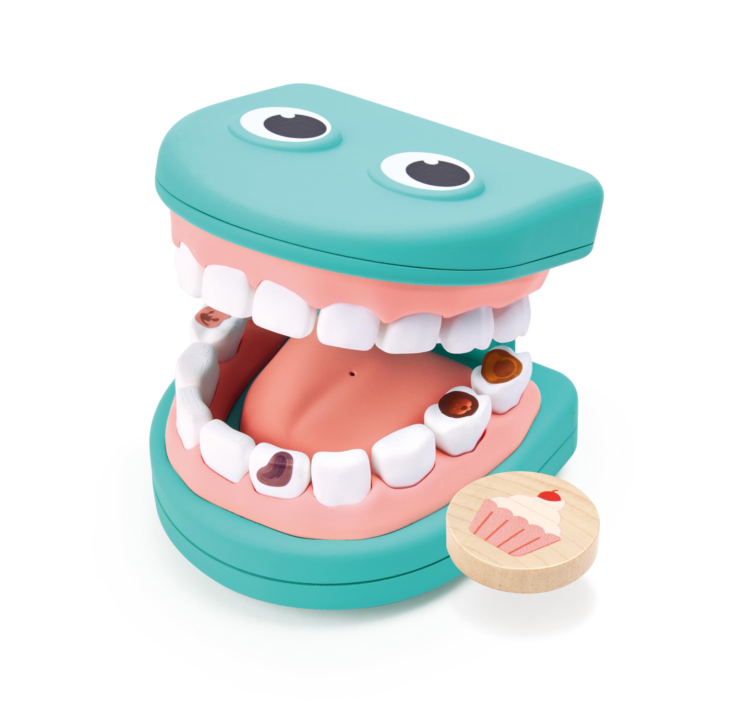 Hape Kit Dentista gioco di ruolo 8 denti interattivo