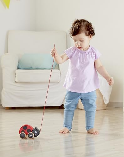 Hape Coccinella Spingi&Tira trainabile legno da 12 mesi