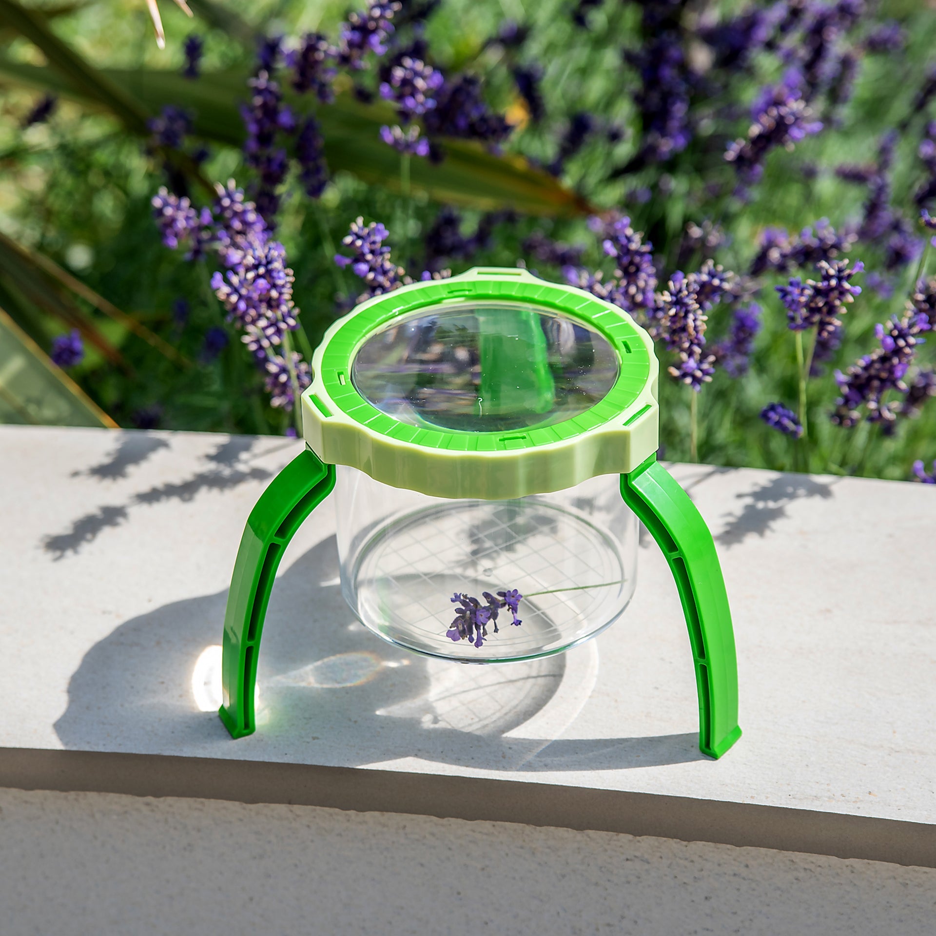 Tickit Tabletop Magnifier 2.3X lente ingrandimento con vaso