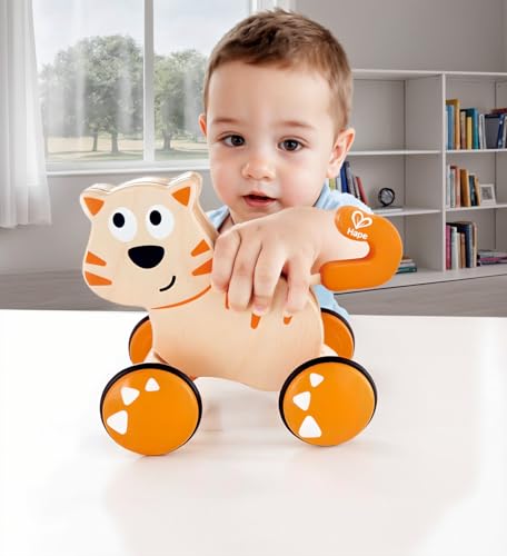 Hape Dante Gattino Spingi e Vai da 12 Mesi