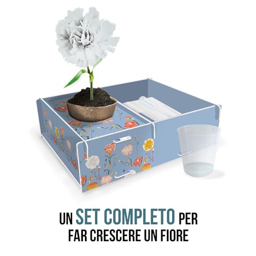 Headu La Mia Botanica gioco vecchia versione