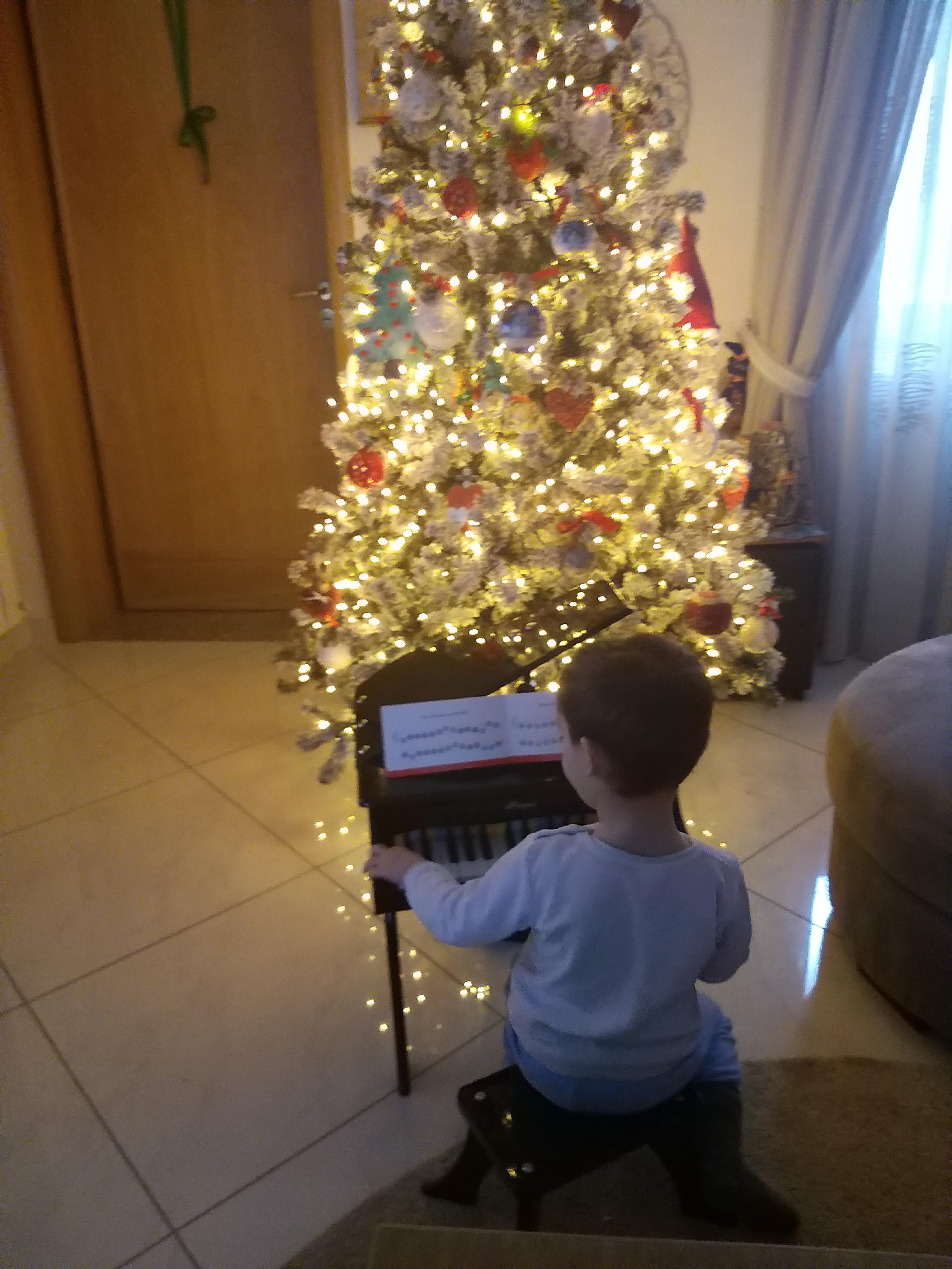 Hape E0320 Pianoforte a Coda giocattolo nero