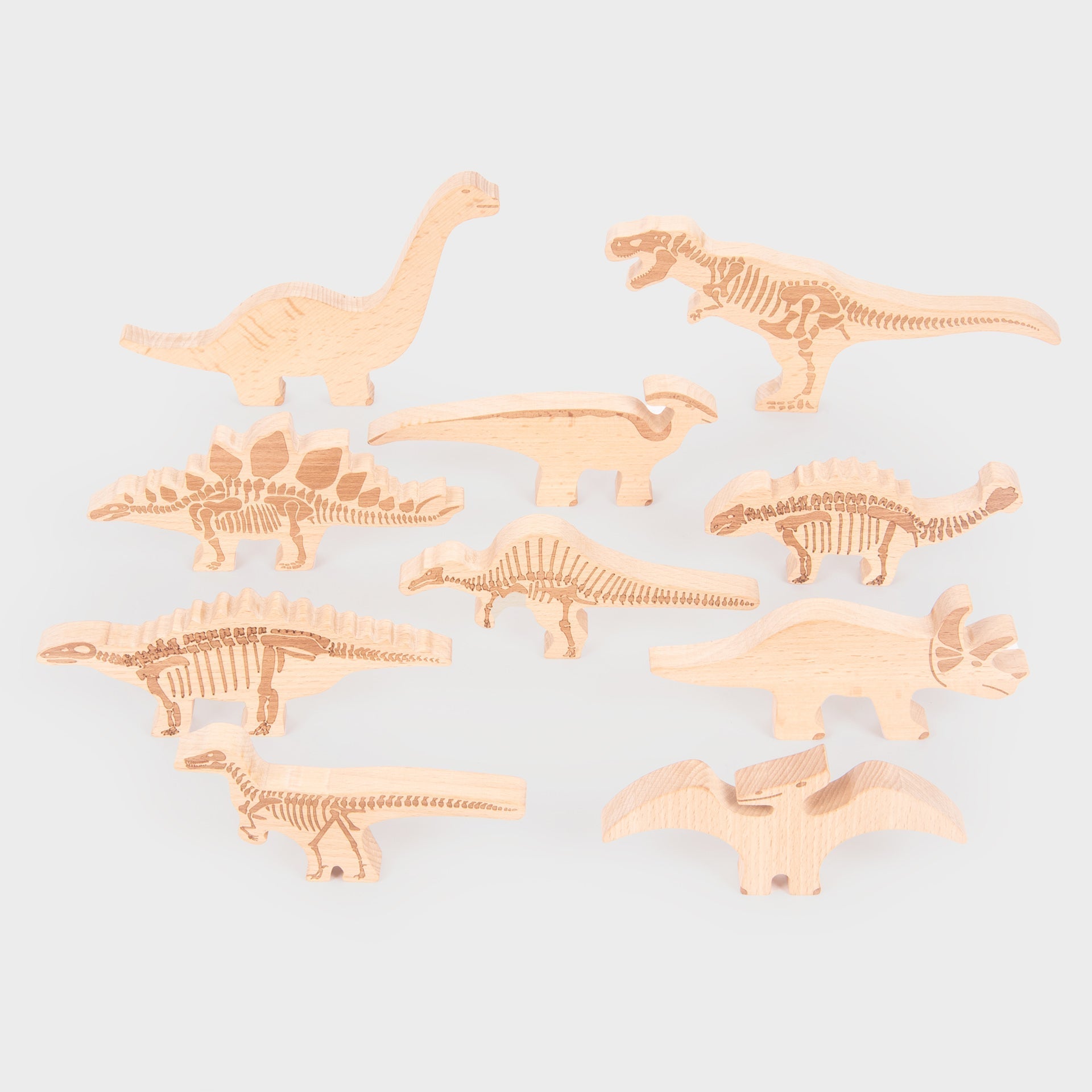Tickit Dinosaur Blocks blocchi legno 10 dinosauri