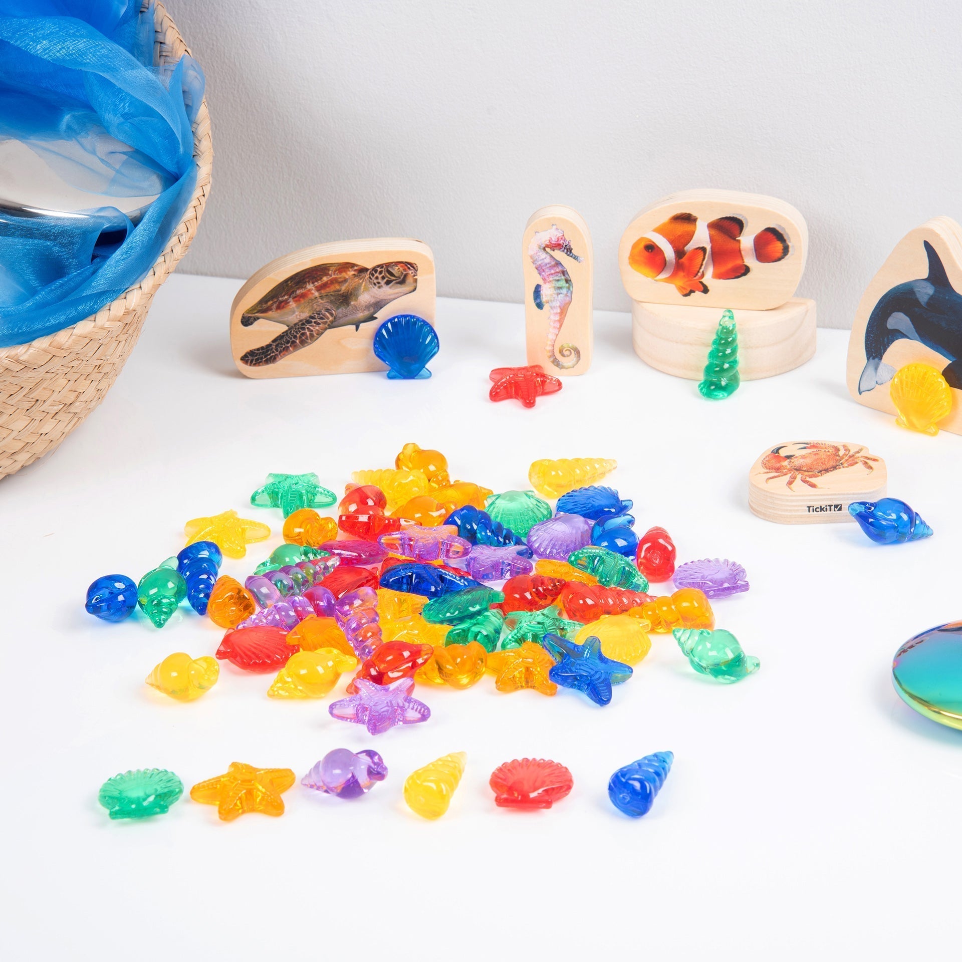Tickit Translucent Colour Shells conchiglie 72 pezzi 6 colori
