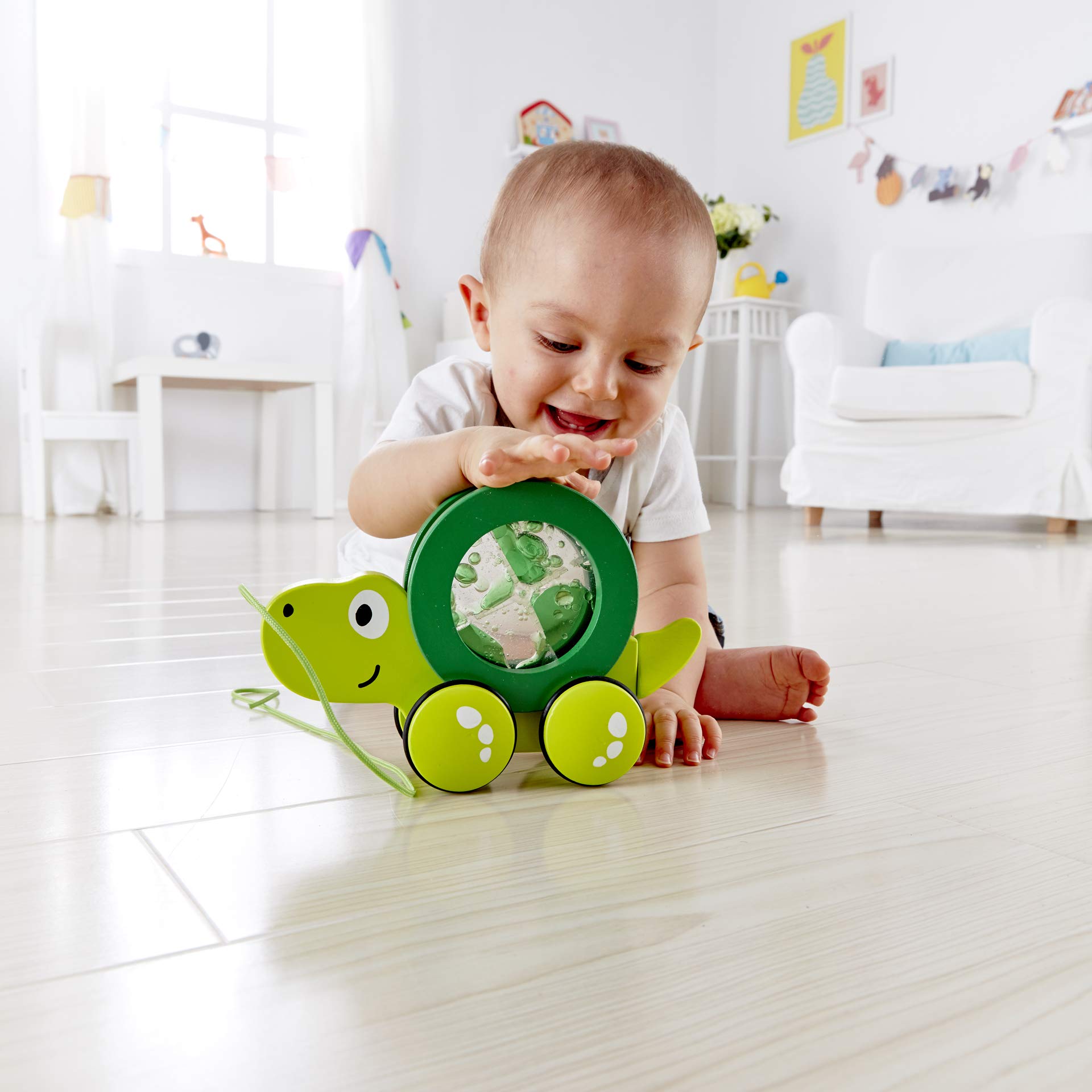 Hape Tito Tartaruga Gioco Trainabile in Legno dai 12 Mesi
