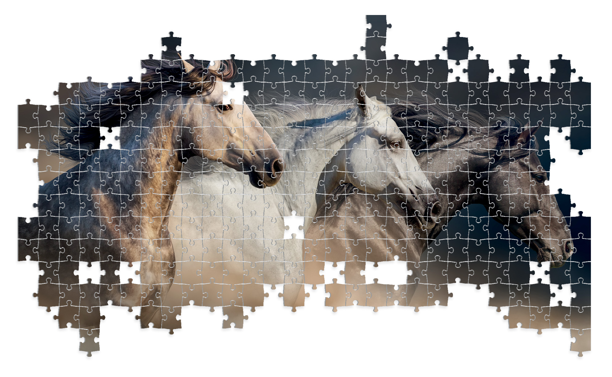 Lisciani Puzzle Poster Horses 1000 puzzle adulti